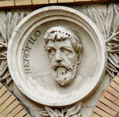 Zaragoza_-_Antigua_Facultad_de_Medicina_-_Medallón_-_Herófilo